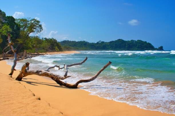 Panama Private Tours