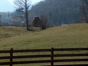 Private Guide in Romania