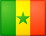 Flag of Senegal