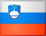 Flag of Slovenia