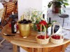 Cherrys and wine