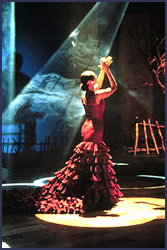 Sevilla Flamenco Night