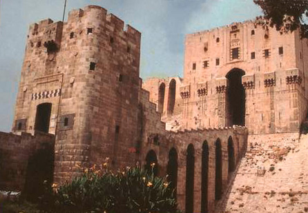 Private Guide in Syria
