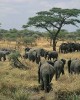 Bellaview Lodge.Tanzania