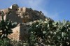 Takrouna Takrouna