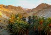 Mountain Oasis Mountain Oasis