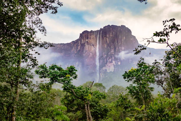 Private Guide in Venezuela