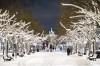 Christmas lights and Brandenburg Gate, Berlin, Germany, museum, bus tours, Brandenburg Gate, Salon Zur Wilden Renate