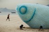 Fish Bottles, Rio de Janeiro, Brazil