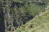 Guassa Community Landscape, Ethiopia