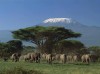 Mt kilimanjaro, Tanzania