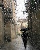 Top 5 Tips for When it Rains… and Pours Top 5 Tips for When it Rains… and Pours