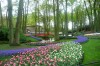 Keukenhof Gardens, Brussels