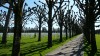 American Cemetery, Romagne-sous-Montfaucon, American Cemetery