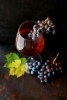 Wine tasting tour in Mostar