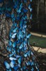 Butterflys, Rio de Janeiro