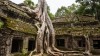 Ta Prom Temple, Siem Reap, Ta prom Temple