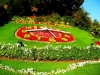 Flower clock, Santiago