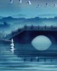 Private tour in Hangzhou