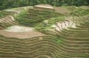 Longji Rice Terrace, Guilin