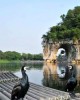 Sightseeing Nature tour in Guilin