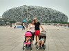 Bird Nest, Beijing, Bird Nest