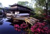 Suzhou garden, Shanghai