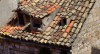Hidden beauties, Dubrovnik, Old Town