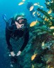 Diving tour in Havana