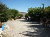 The 'Sycamore road' at Omodos village, Limassol, Omodos village