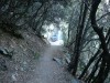 Caledonia Waterfalls - very pretty walking trail crossing the stream, Platres, Platres