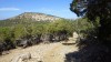 Walking on Adonis Trail towards Moutti tis Sotiras peak, Polis, Akamas