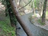Shaded Platy valley - a relaxing walk by the stream, Troodos