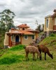 Tour in Ecuador