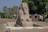 Alabaster sphinx, Cairo