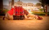 Camel riding trip, Aswan, Saint Simone