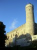 Walking tour in Tallinn