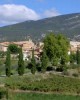 Wine tasting tour in Avignon