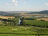 vineyards, Reims