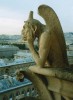 A gargoyle atop Notre Dame Cathedral contemplates life, Paris