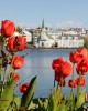 Walking tour in Reykjavik