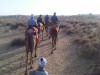 camel carvan, Jaisalmer, sand dunes, jaisalmer