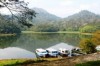 wild life sanctuary, Kerala, near cochi