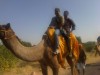 leading uk group to sand dunes for sun set, Jaisalmer, khuri sand dunes