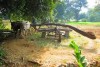 waterwheel, Udaipur, Kumbhalgarh irrigation system