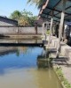 Gourmet & Cooking tour in Gianyar