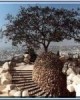 Walking tour in Jerusalem