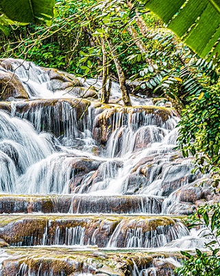 Ocho Rios Rivers Excursion in Ocho Rios. Dunns river falls. Guided tour in Ocho Rios,Jamaica