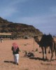 Excursion in Wadi Rum
