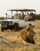 Private Guide African in Nairobi, Kenya